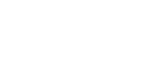 Meta Business Partner