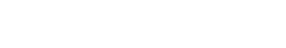 Shopify Partners
