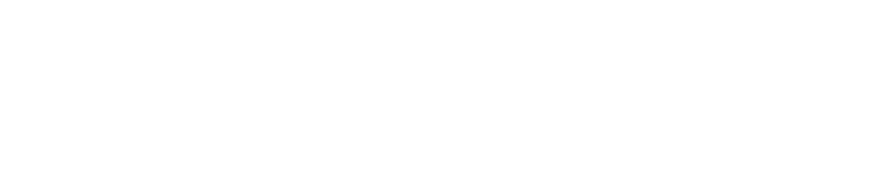 TikTok Marketing Partner